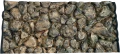 Yellow.png